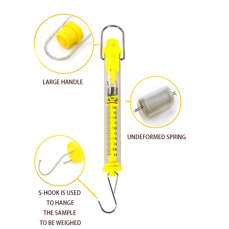LOVLLE Set of 6 Plastic Tubular Spring Scales, 1N–50N Newton & Gram Calibrated Force Meters, Educational Dynamometer Set for Physics Classroom, Science Experiment, and Student Lab Use - Image 3